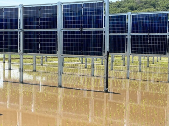 垂直型営農太陽光をPPAで